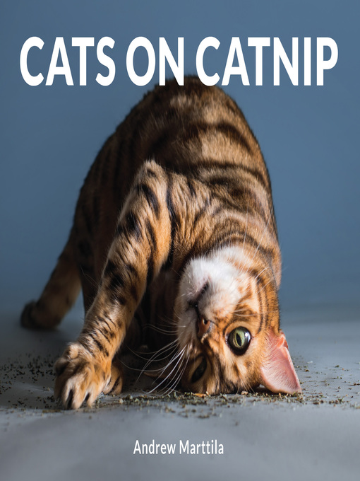 Title details for Cats on Catnip by Andrew Marttila - Available